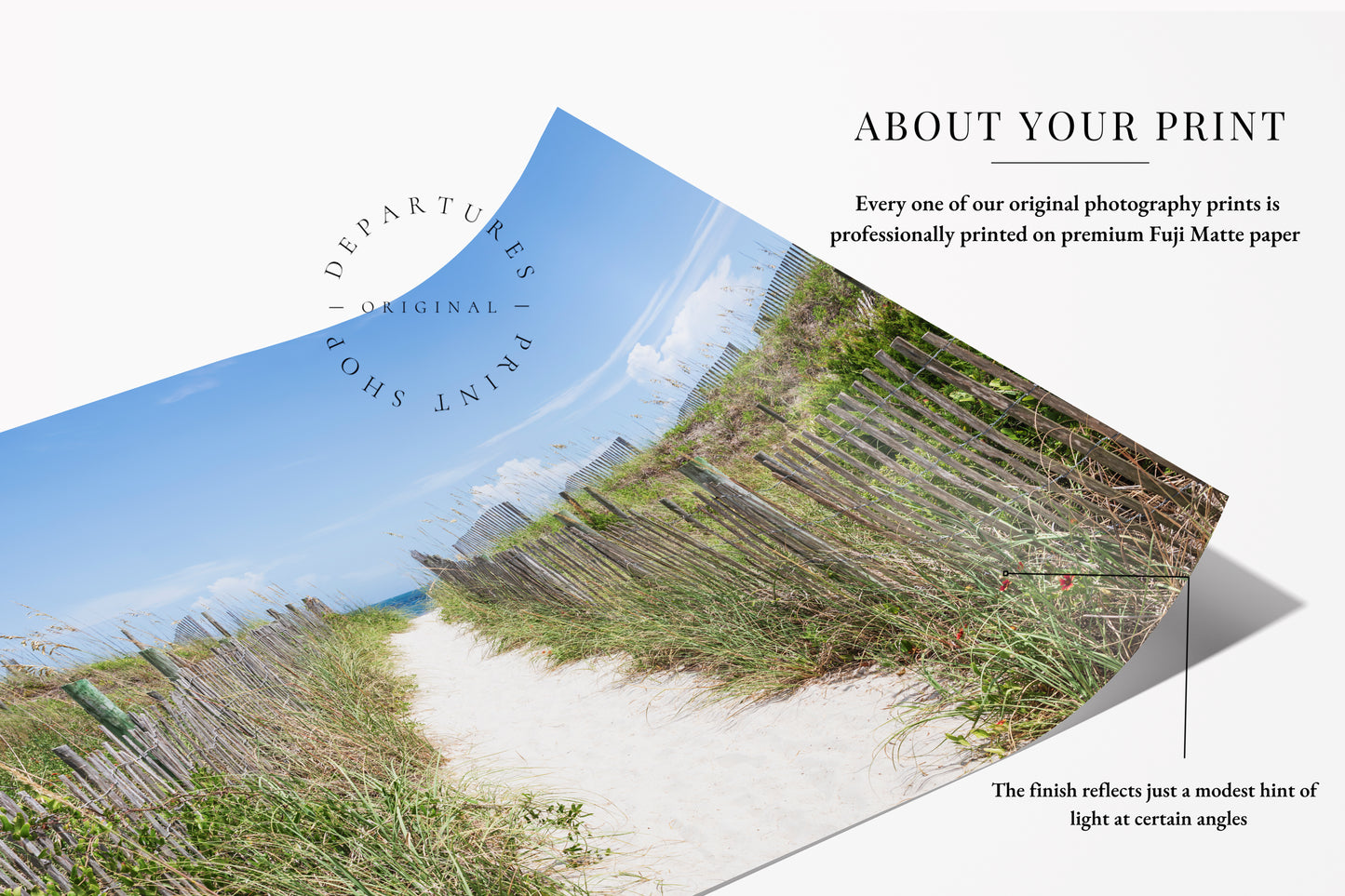Sandy Beach Path Print