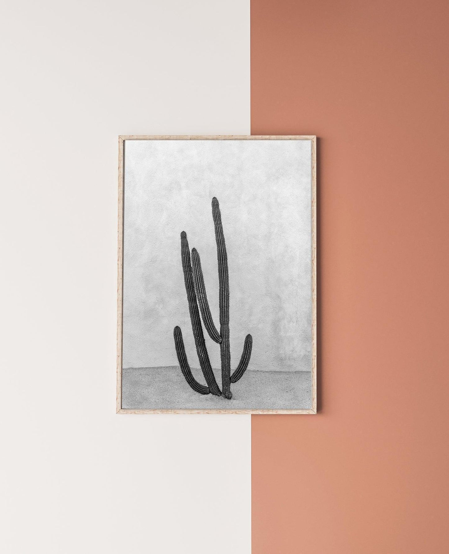 Black and white vertical photograph of a tall cactus against a light stucco wall, taken in Cabo San Lucas, Mexico.