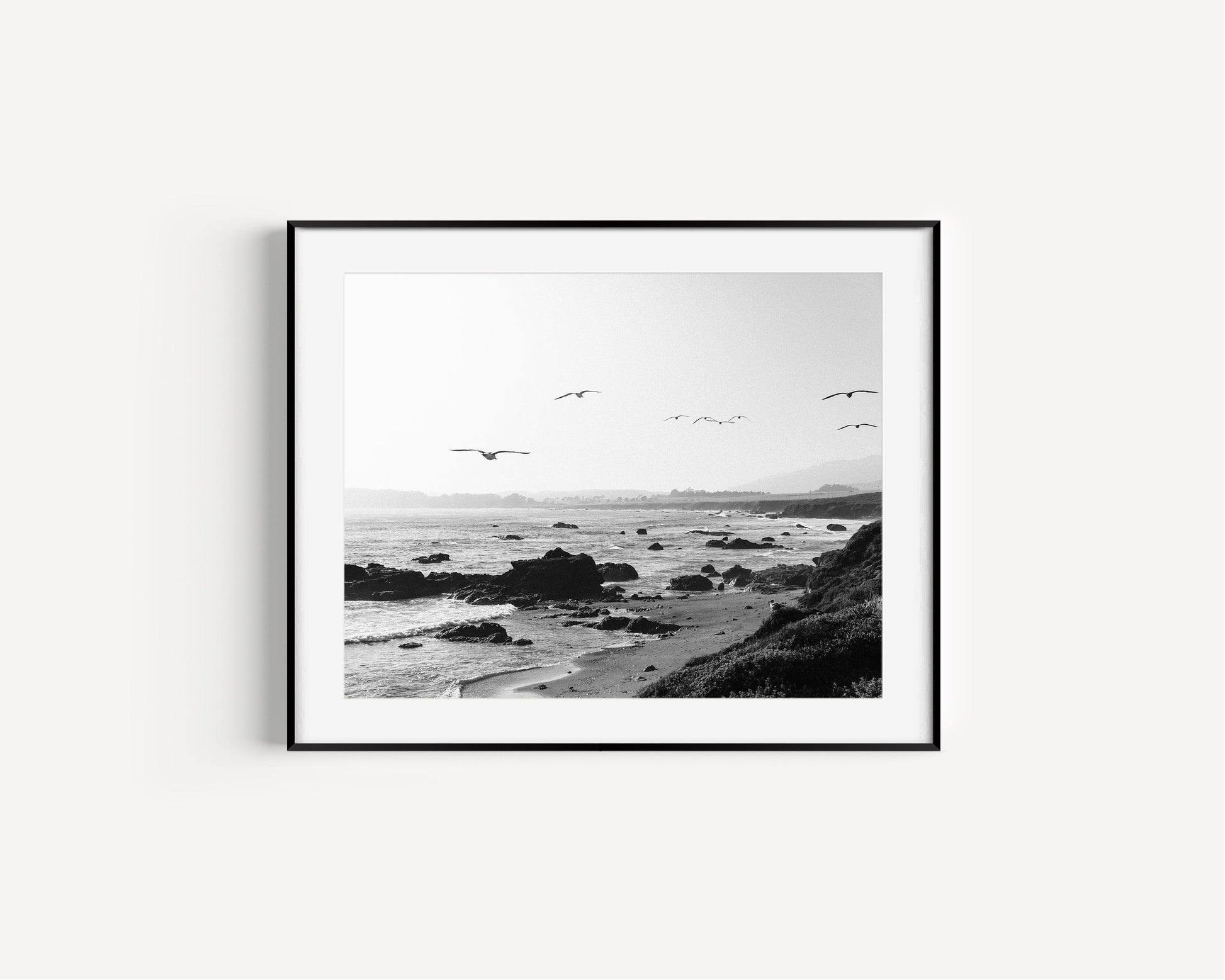 Black and white photo of birds flying over California coast with ocean waves and rocky shoreline