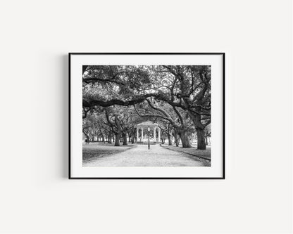 Battery Park & White Point Gardens | Charleston Photography Print - Departures Print Shop