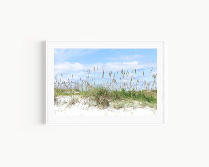 Beach Dunes Photography Print - Departures Print Shop