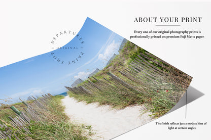 Sandy Beach Path Print