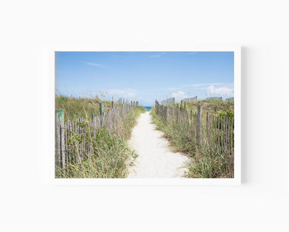 Pathway leading to the beach with wooden fences on either side under a clear blue sky.