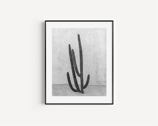 Black and White Cactus Print | Cabo Mexico Print - Departures Print Shop