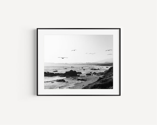 Black and White Coastal Waves & Seagulls - Departures Print Shop