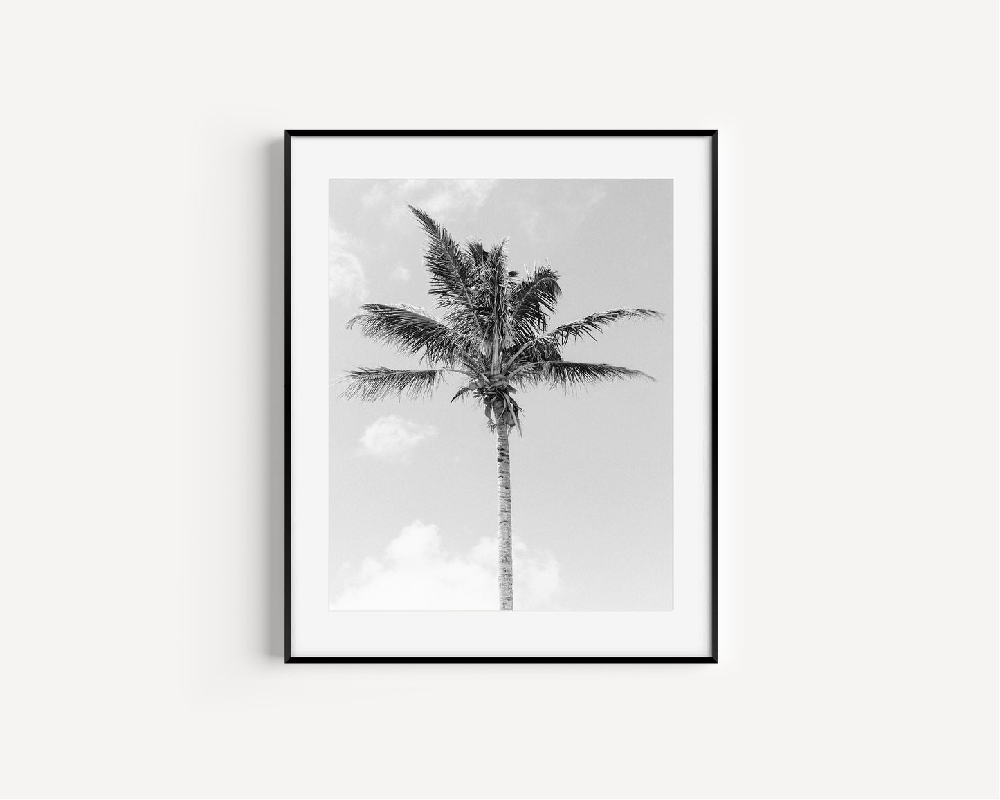 Single black and white palm tree centered against cloudy sky – minimalist tropical wall art print