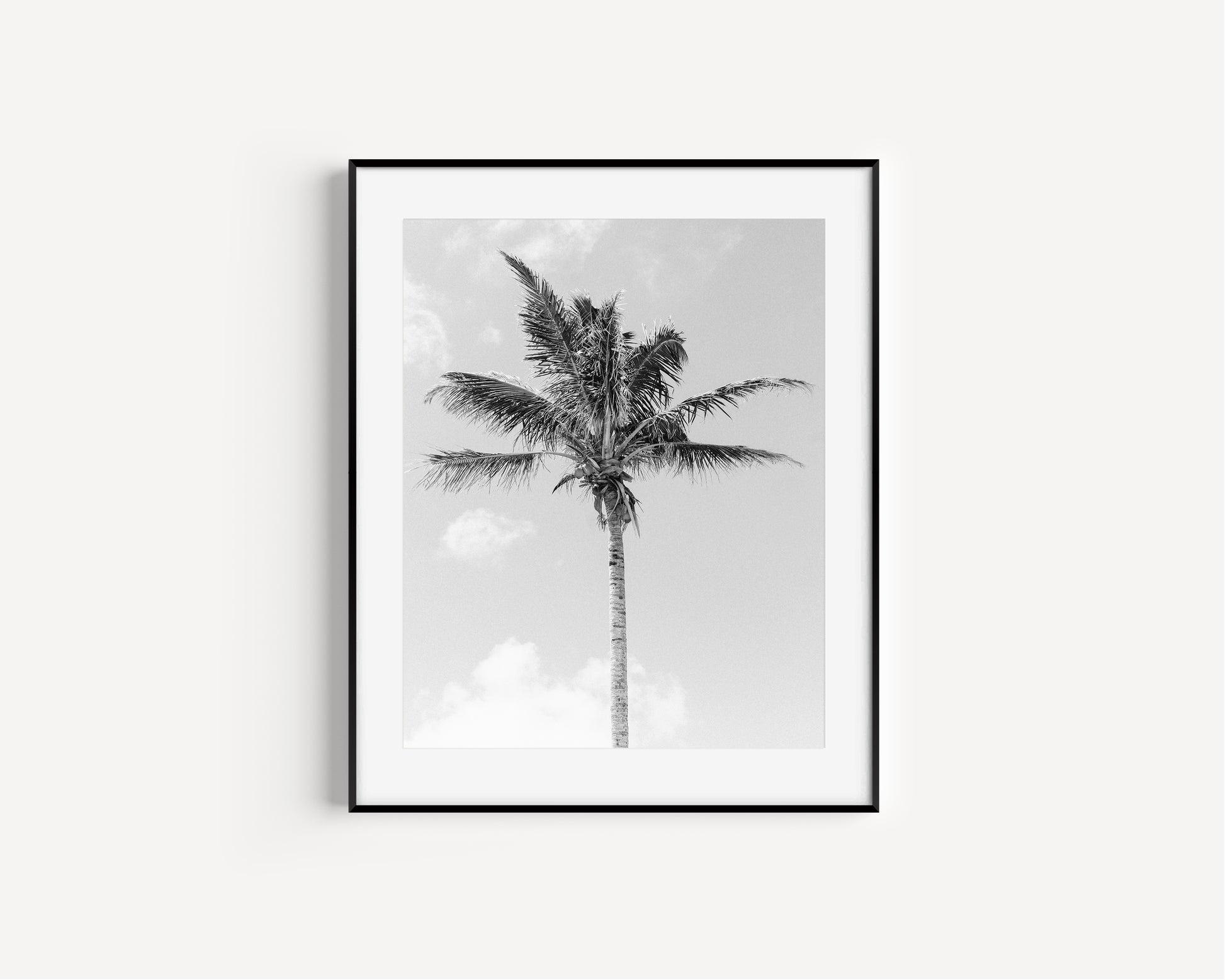 Single black and white palm tree centered against cloudy sky – minimalist tropical wall art print