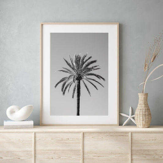 Black and White Palm Tree II | Beach Photography Print - Departures Print Shop