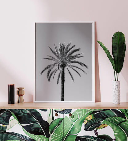 Black and White Palm Tree II | Beach Photography Print - Departures Print Shop