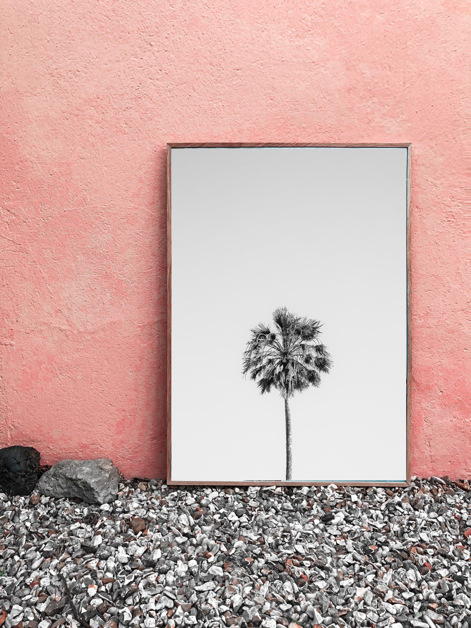 Black and White Palm Tree III | Beach Photography Print - Departures Print Shop