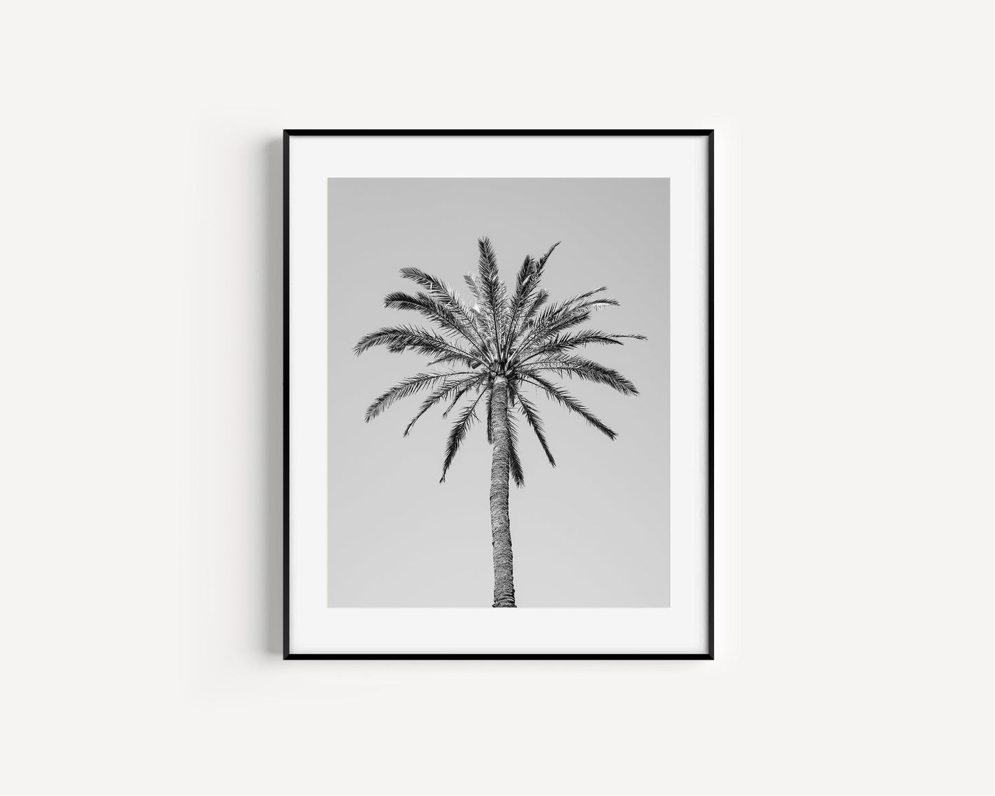 Black and White Palm Tree | Beach Photography Print - Departures Print Shop
