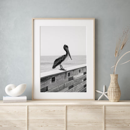 Black and White Pelican Beach Print - Departures Print Shop