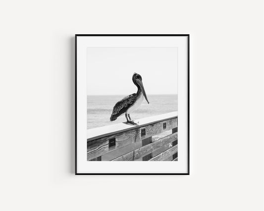 Black and White Pelican Beach Print