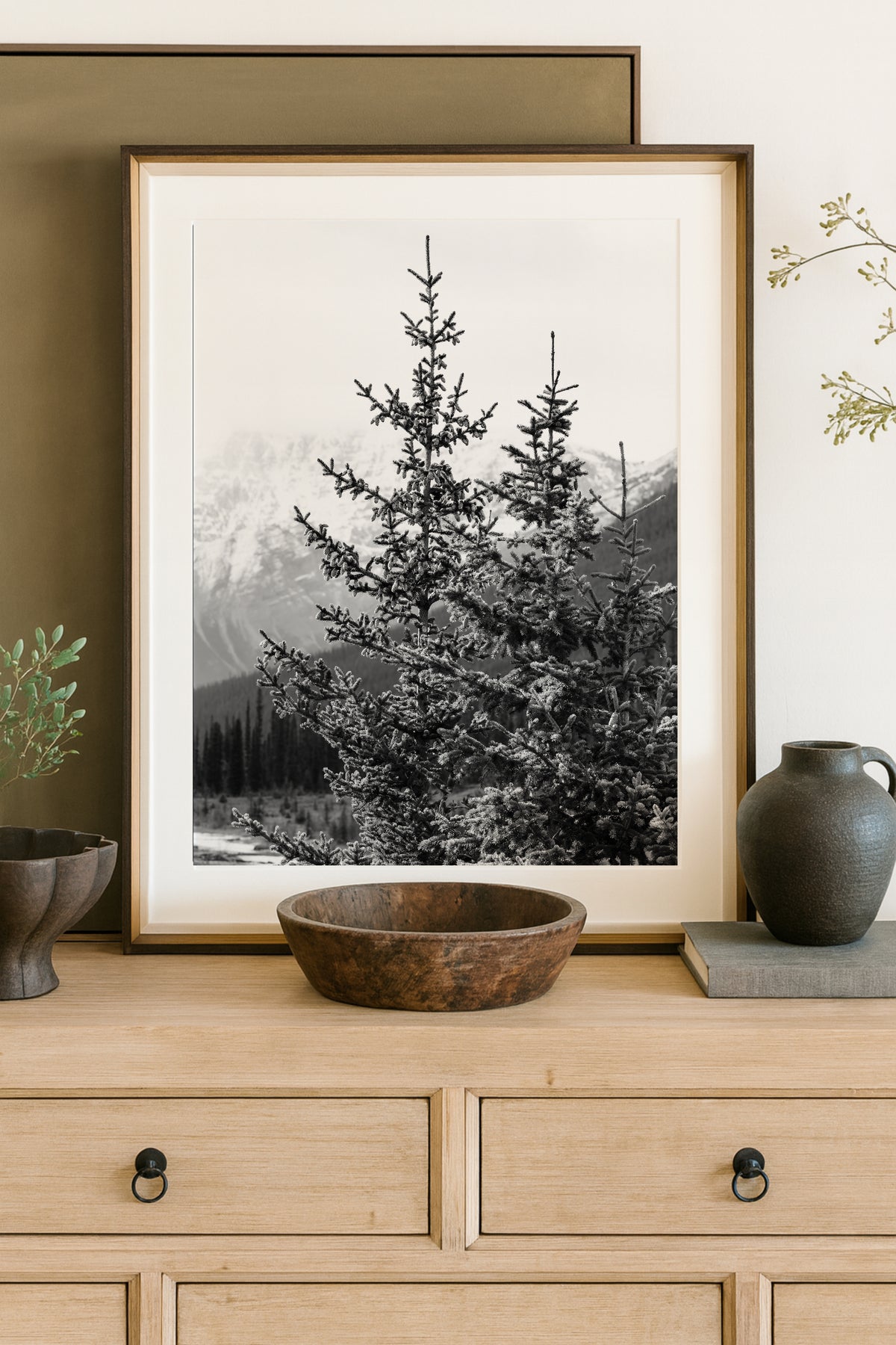 Black and white photograph of frost-dusted pine trees with snow-capped Rocky Mountains in the background, Banff, Canada