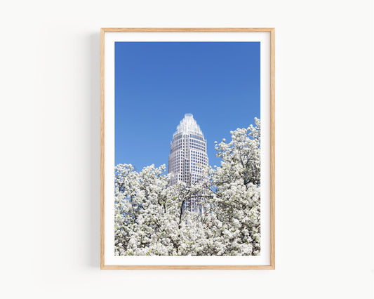 Charlotte Spring Blossom Print - Departures Print Shop