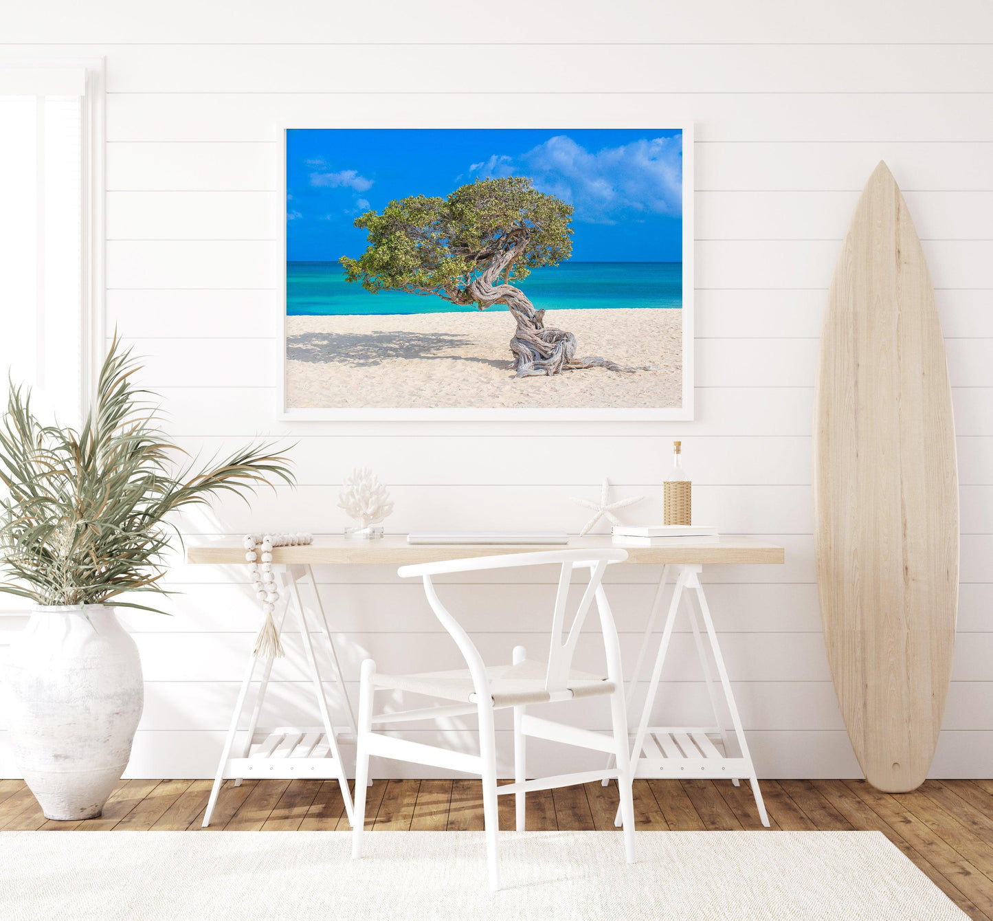 Eagle Beach Divi Tree Photography Print | Aruba Photography Print - Departures Print Shop
