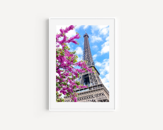 Eiffel Tower Cherry Blossoms Paris Print I - Departures Print Shop