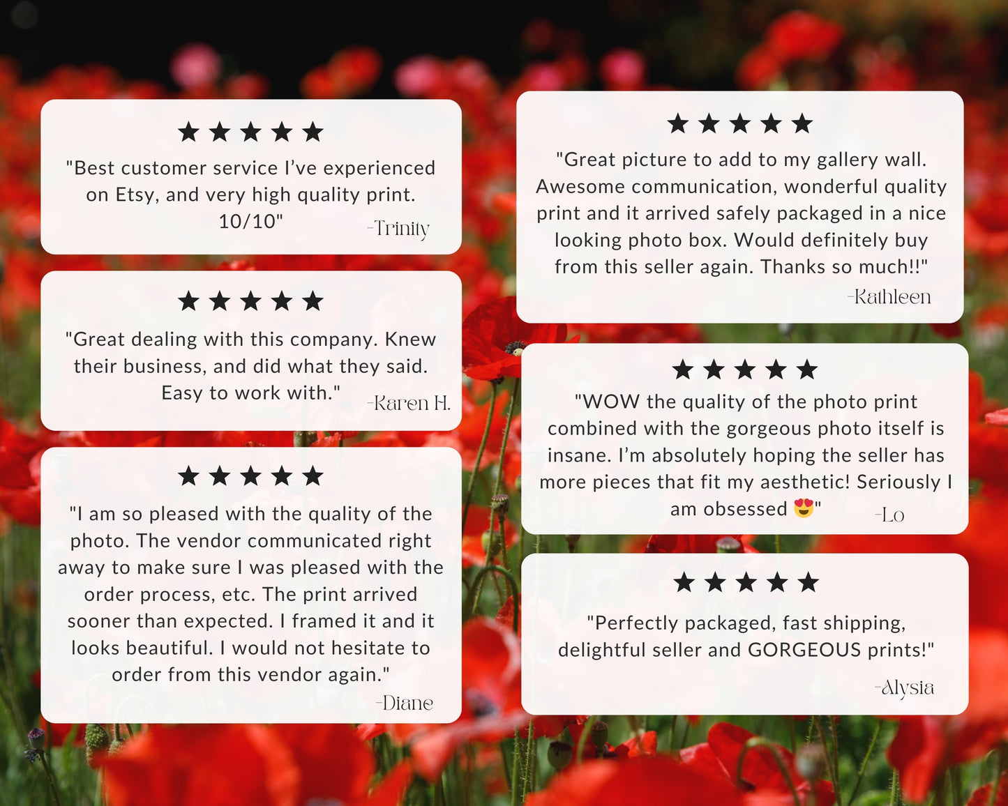 5-star reviews for floral photography collection by Departures Print Shop