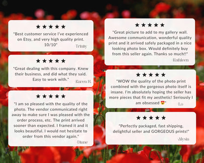 5-star reviews for floral photography collection by Departures Print Shop