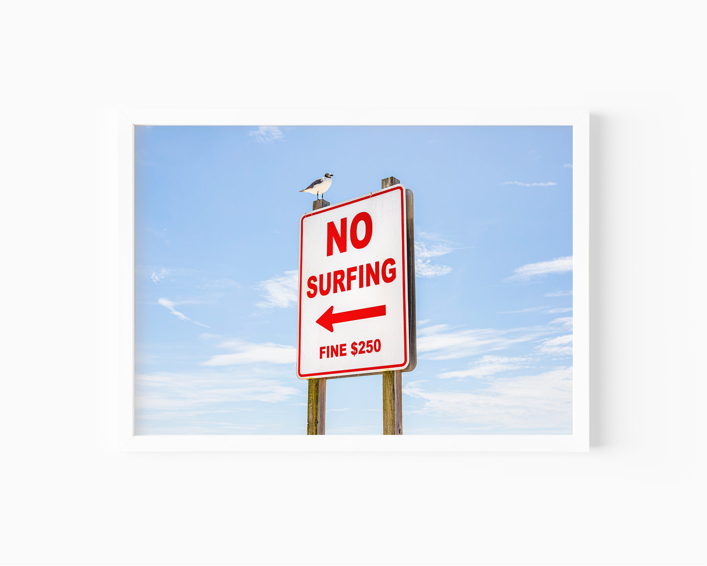 Color fine art photograph of a red and white No Surfing Fine $250 sign at Wrightsville Beach in Wilmington, North Carolina — a seagull perched on top of the sign against a blue sky