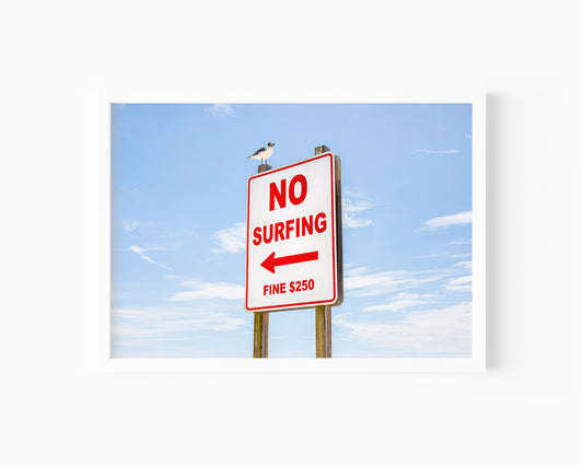 Color fine art photograph of a red and white No Surfing Fine $250 sign at Wrightsville Beach in Wilmington, North Carolina — a seagull perched on top of the sign against a blue sky