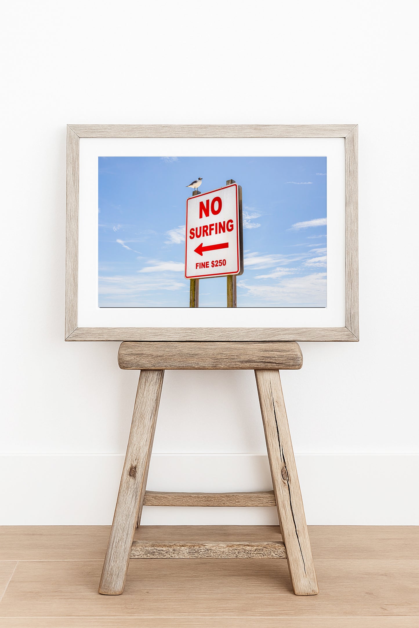 Color fine art photograph of a red and white No Surfing Fine $250 sign at Wrightsville Beach in Wilmington, North Carolina — a seagull perched on top of the sign against a blue sky