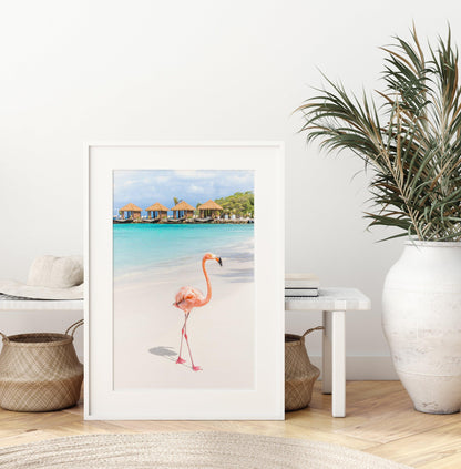 Pink Flamingo Photography Print | Aruba Photography Print - Departures Print Shop