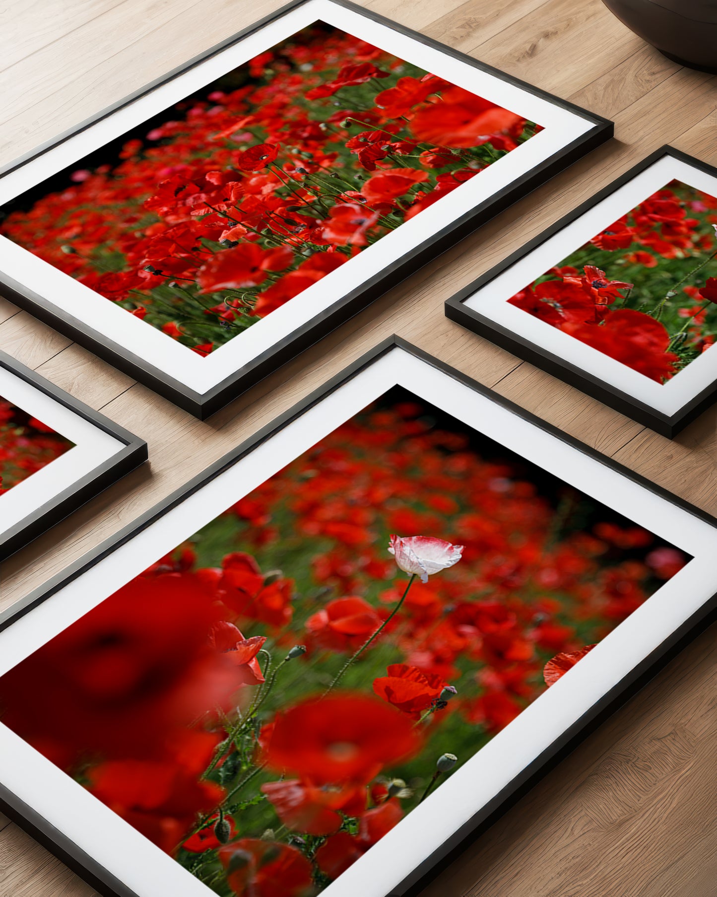 Poppy Field Photography Print II