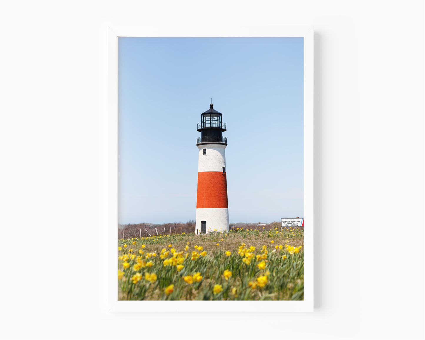 Color fine art photograph of Sankaty Head Lighthouse on Nantucket Island with yellow daffodils in soft focus in the foreground — spring wall art from Siasconset, Nantucket