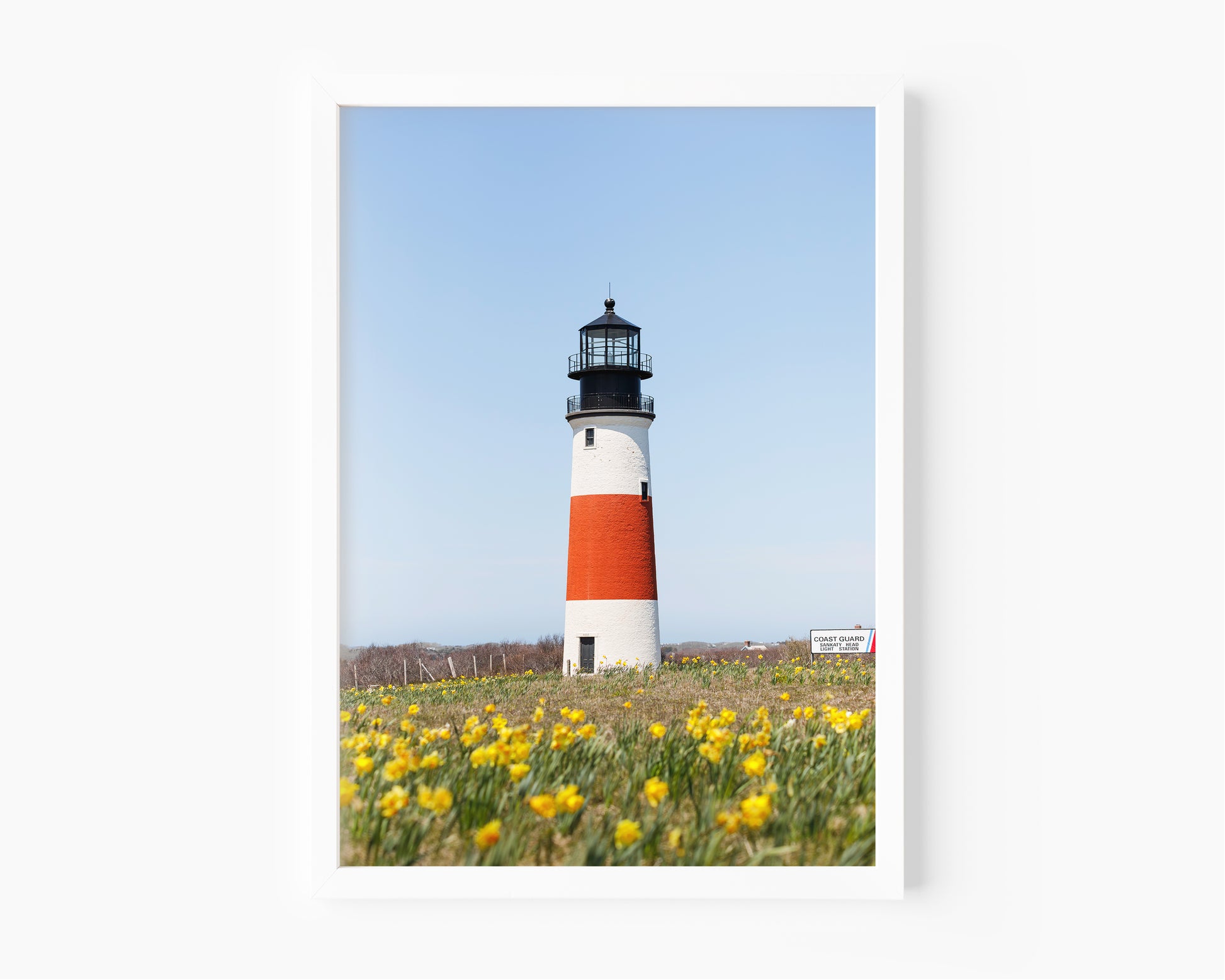 Color fine art photograph of Sankaty Head Lighthouse on Nantucket Island with yellow daffodils in soft focus in the foreground — spring wall art from Siasconset, Nantucket