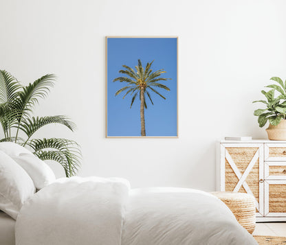 Palm Tree | Beach Photography Print - Departures Print Shop