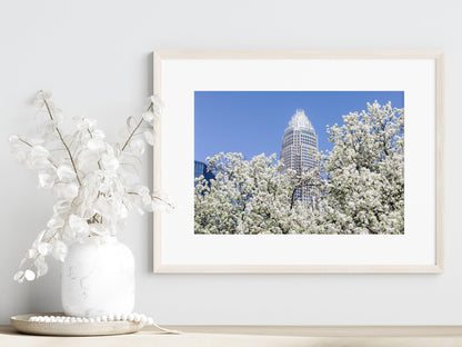 Spring Blossoms Charlotte Print - Departures Print Shop