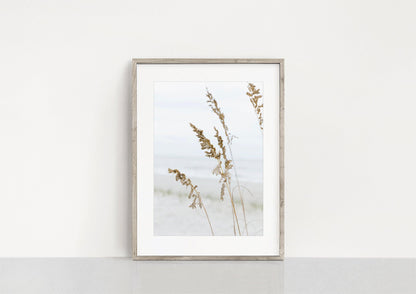 Sea Oats Neutral Beach Print II