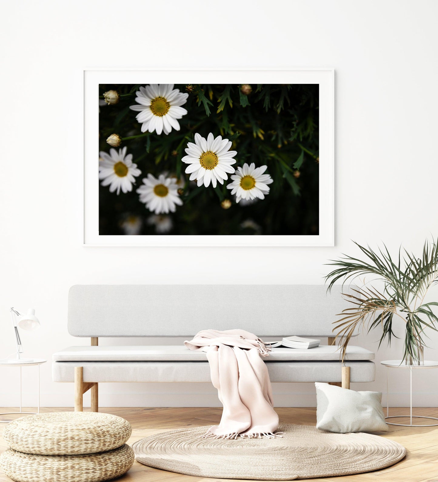 White Daisies Print II | Flower Photography Print - Departures Print Shop