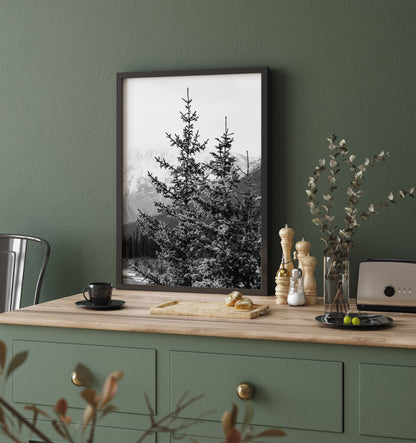 Black and white photo of a pine tree with snow-dusted branches in Banff National Park, Alberta – minimalist Canadian Rockies nature photography.