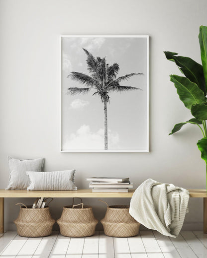 B&W Caribbean High Rise | Palm Tree Print - Departures Print Shop