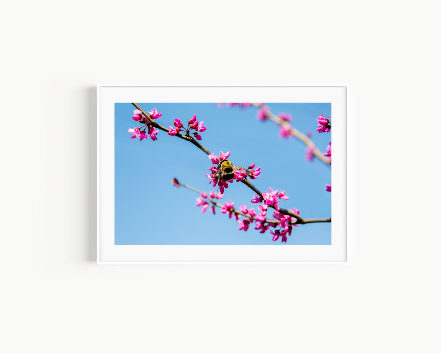Bumble Bee & Blossoms | Floral Print - Departures Print Shop