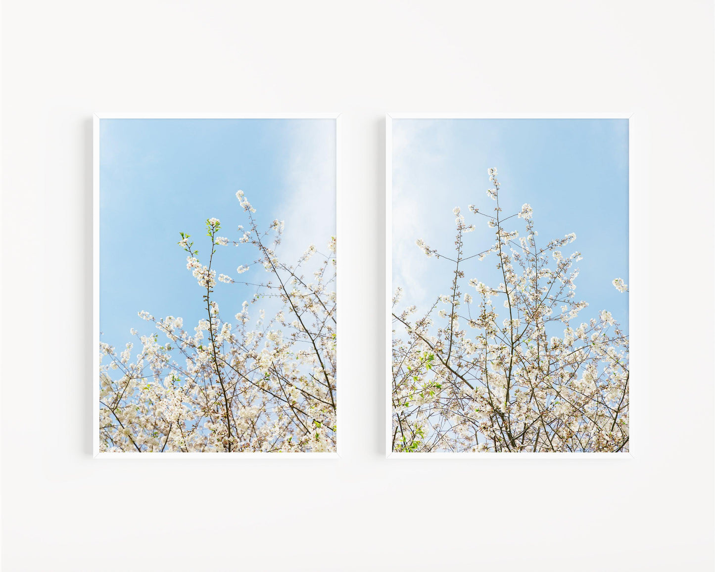 Cherry Blossom Print Set | Floral Print - Departures Print Shop