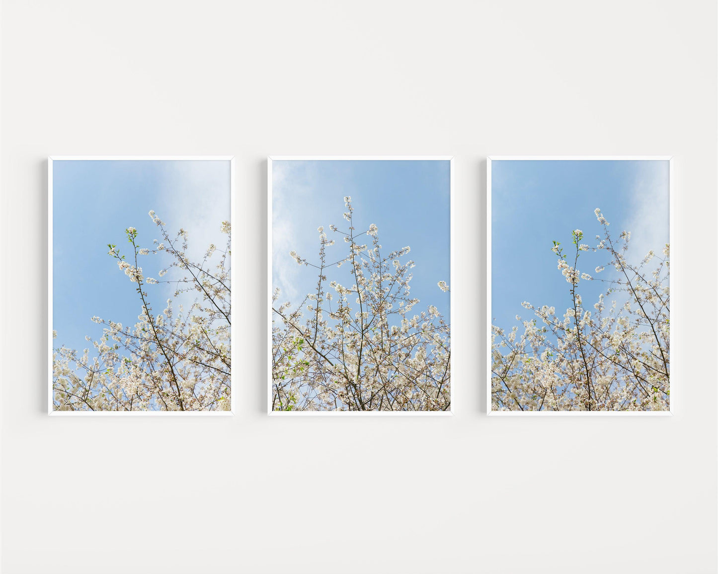 Cherry Blossom Print Set of Three | Floral Print - Departures Print Shop