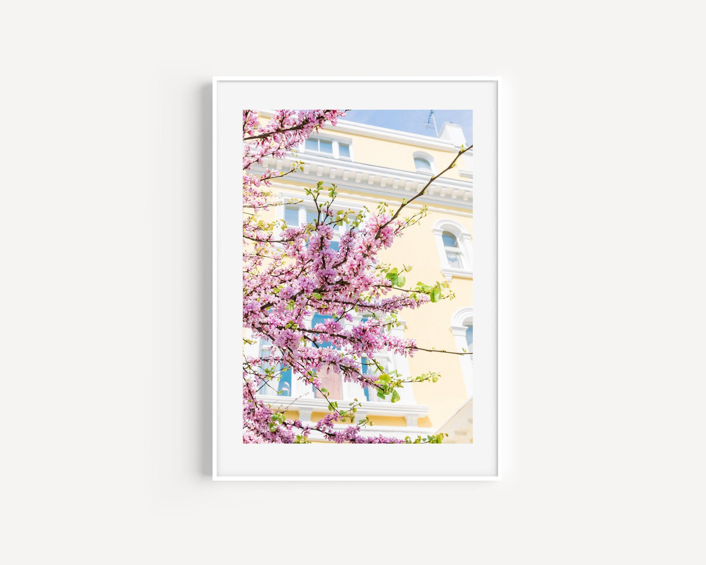 Notting HIll Pink Cherry Blossoms | London Photography Print - Departures Print Shop