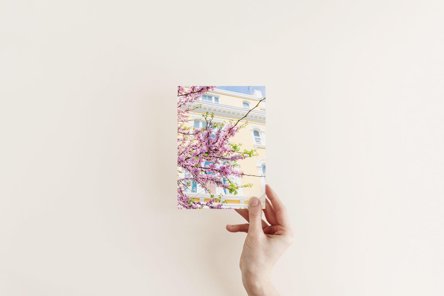 Notting HIll Pink Cherry Blossoms | London Photography Print - Departures Print Shop