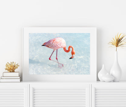 Pink Flamingo | Beach Print - Departures Print Shop