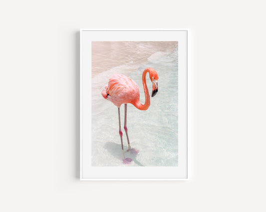 Pink Flamingo III | Beach Print - Departures Print Shop