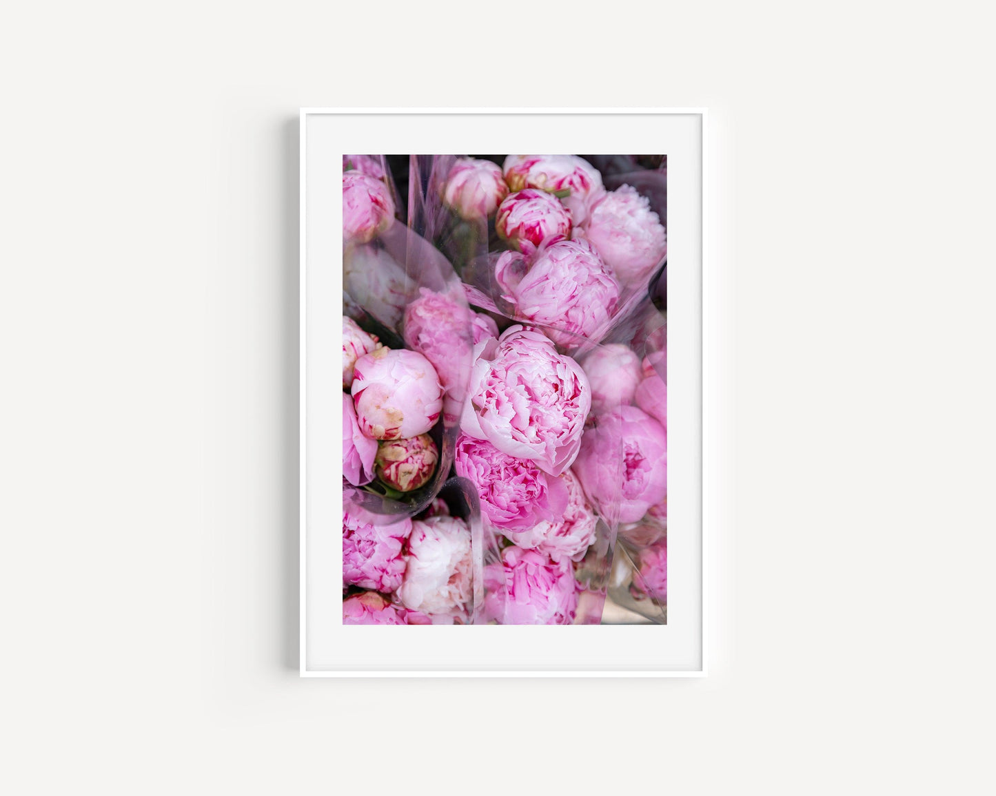Pink Peonies | Floral Photography Print - Departures Print Shop