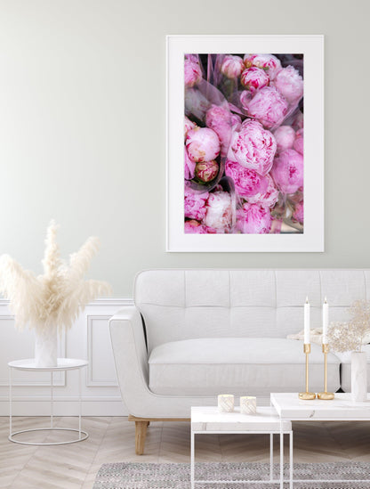 Pink Peonies | Floral Photography Print - Departures Print Shop