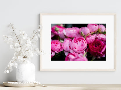 Pink Ranunculus | Floral Photography Print - Departures Print Shop