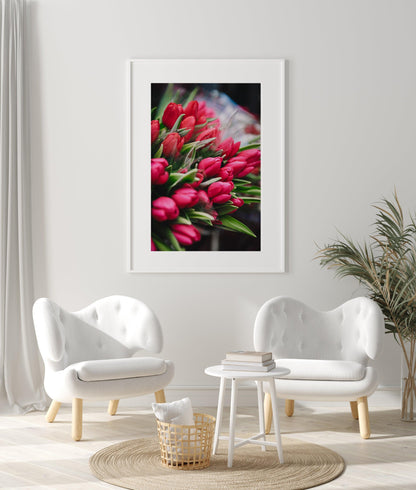 Pink Tulips | Floral Photography Print - Departures Print Shop