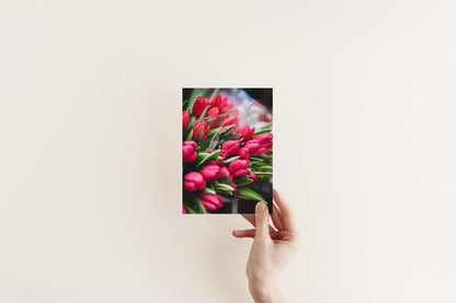 Pink Tulips | Floral Photography Print - Departures Print Shop