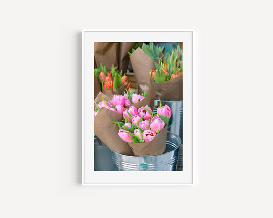 Pink Tulips III | Floral Photography Print - Departures Print Shop