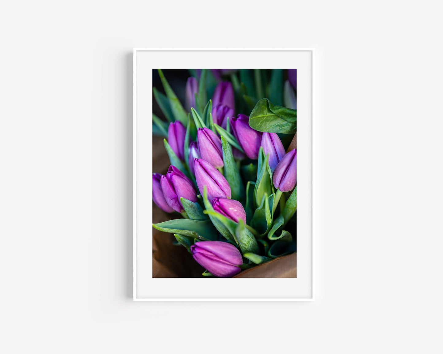 Purple Tulips | Floral Photography Print - Departures Print Shop